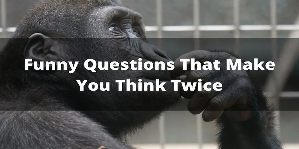 25 Funny Questions That Make You Think Twice